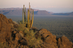 2007 04 17A 047 USA Arizona Web